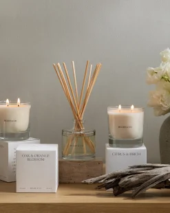 Salt & Sea Candle