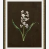 Sepia Sprouts I
