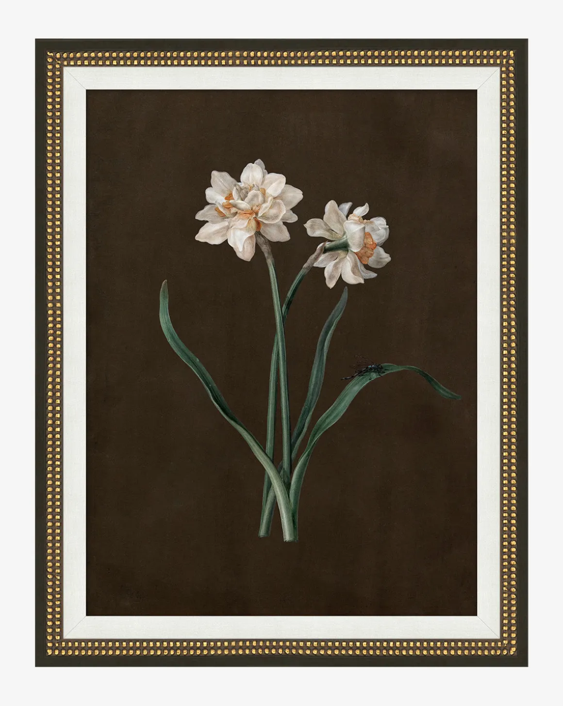 Sepia Sprouts III