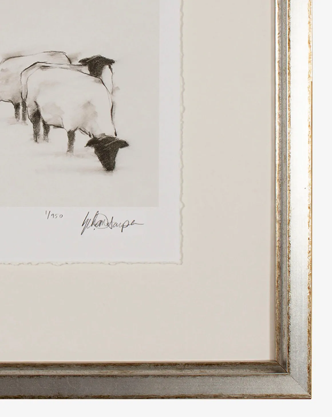 Sheep II