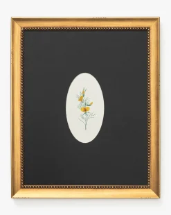 Single Blooms 1