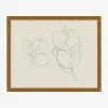 Sketched Fruit II