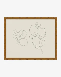 Sketched Fruit II