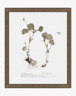 Subdued Botanicals II