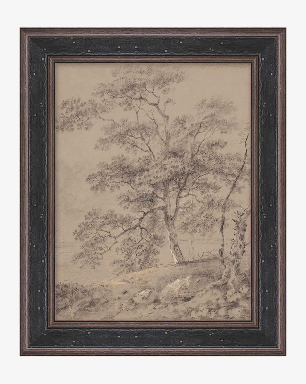 Taupe Forest