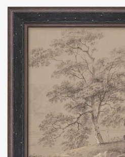 Taupe Forest
