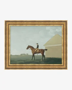 The Little Jockey