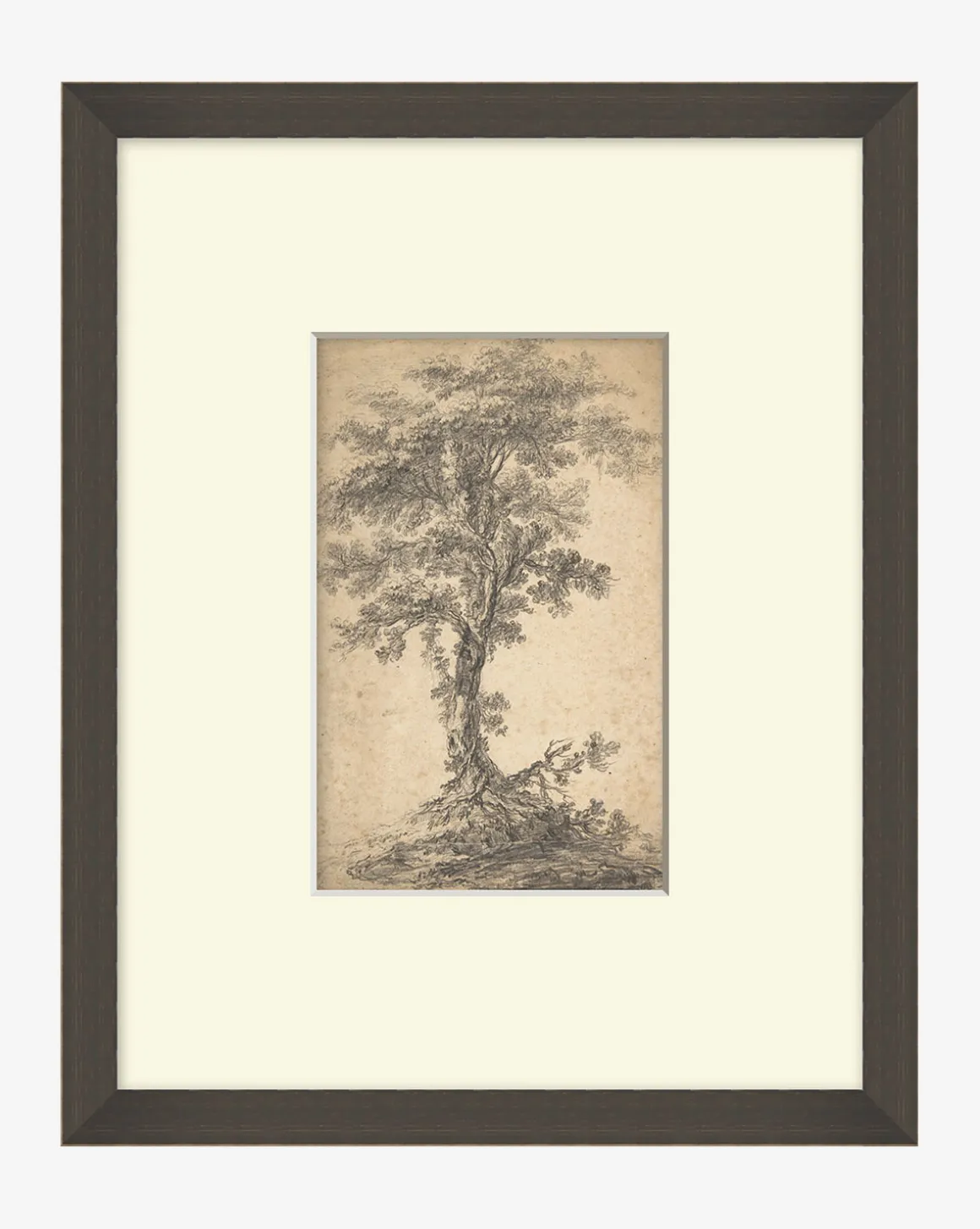 Tree on a Hilltop