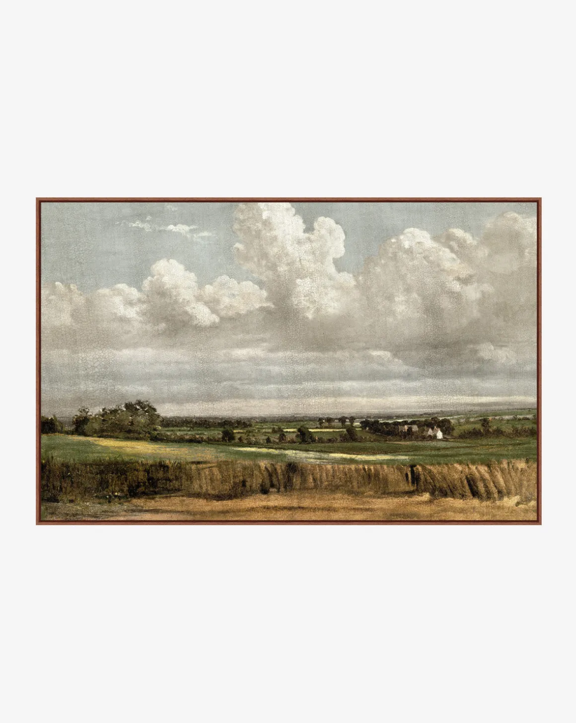 Wheatfield