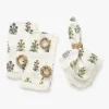 Wilkie Floral Napkins (Set of 4)