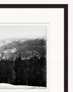 Winterscape